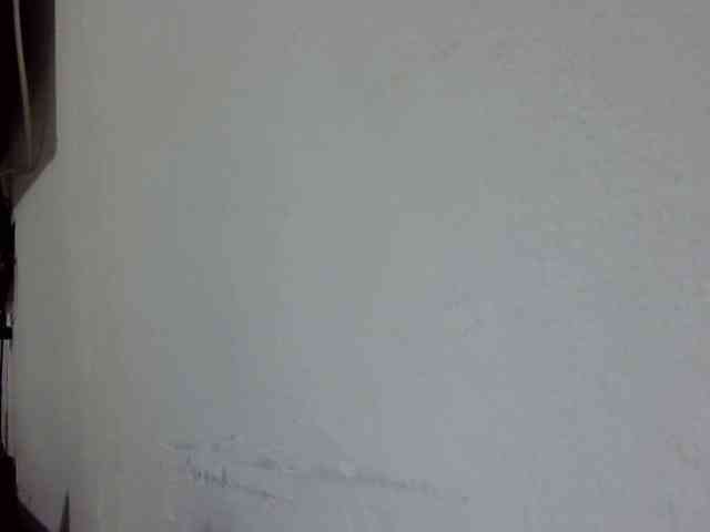 ElizabethMart webcam