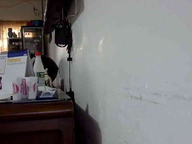 ElizabethMart webcam