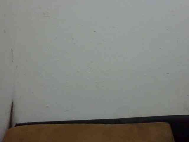 ElizabethMart webcam