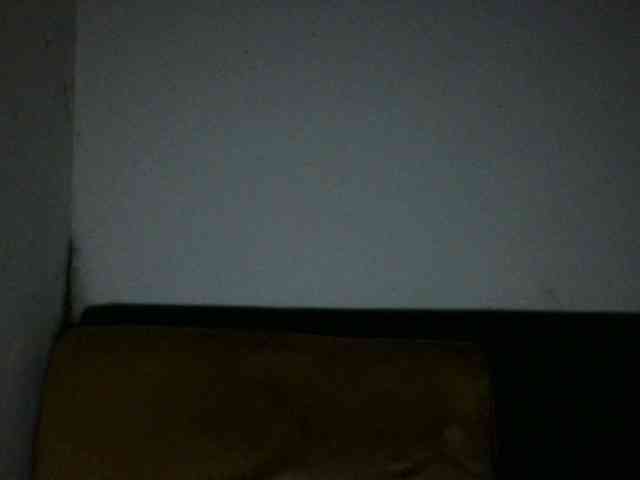 ElizabethMart webcam