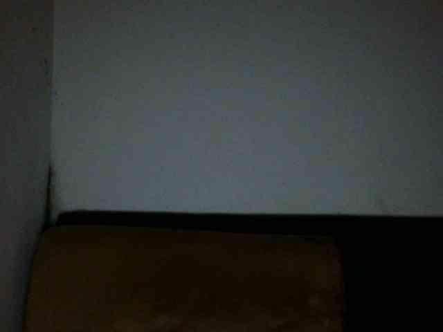 ElizabethMart webcam
