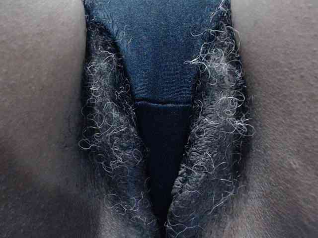 SashaMacgrego webcam