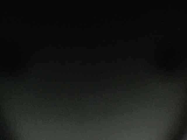 SashaMacgrego webcam