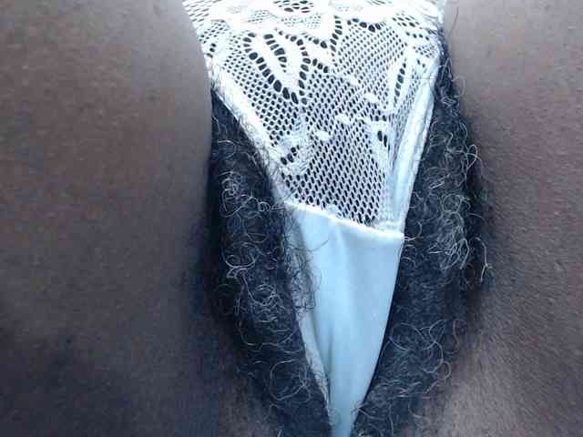 SashaMacgrego webcam