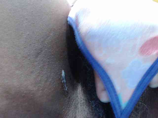 SashaMacgrego webcam