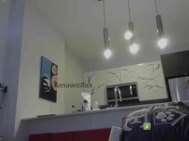 LunaWolfex webcam