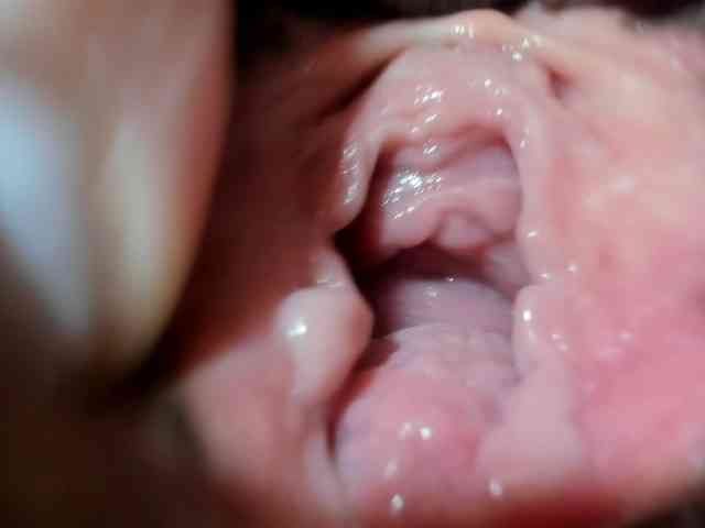 foxy-porn1 webcam