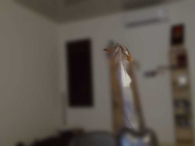 Lilye's BongaCams show and profile