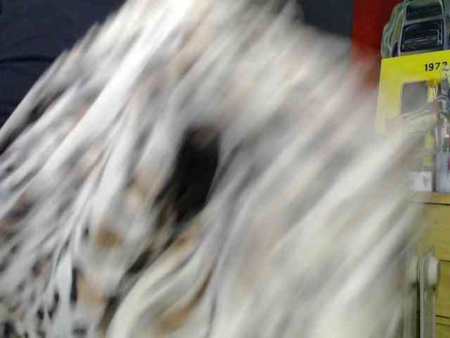 Alisa_U webcam