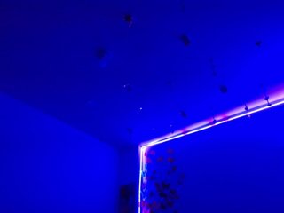 Sammyviolet Porn Show