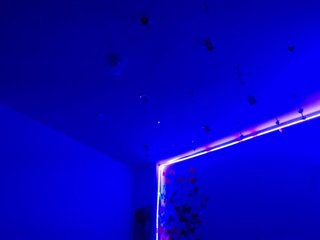 Sammyviolet Porn Show