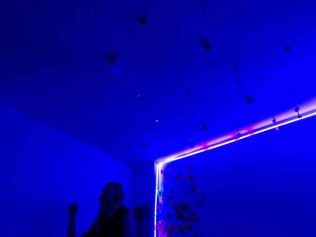 Sammyviolet Sammyviolet