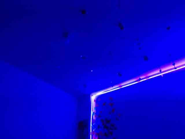 Sammyviolet Sammyviolet