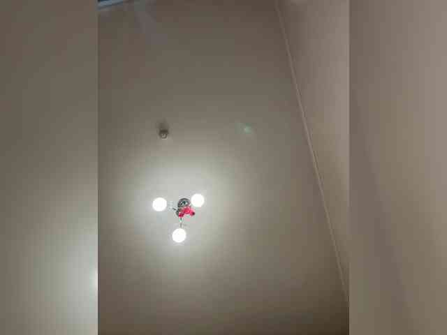 Crystal1-1 Live Webcam on BongaCams