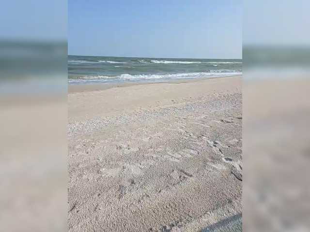 Alex80-201