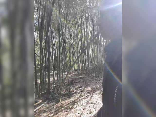 Alex80-201 from BongaCams is Freechat