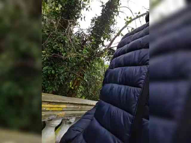 Alex80-201 Alex80-201