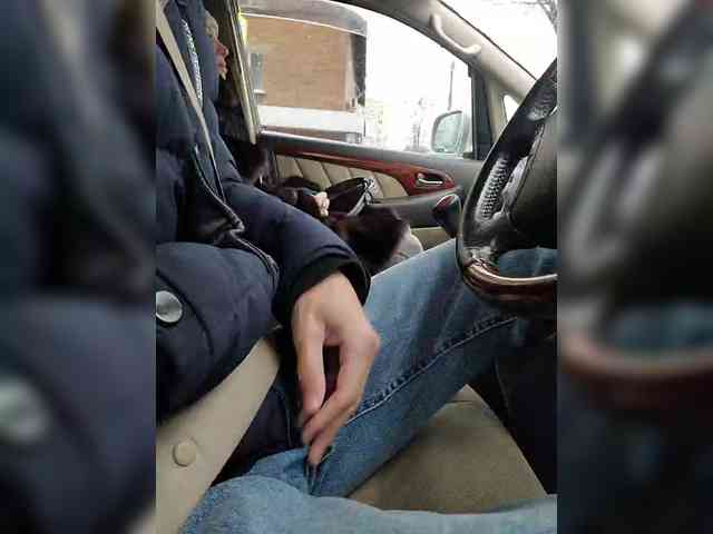 Alex80-201 Alex80-201