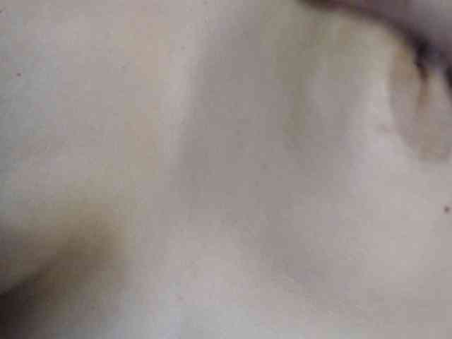 Sun-Shy's webcam live show