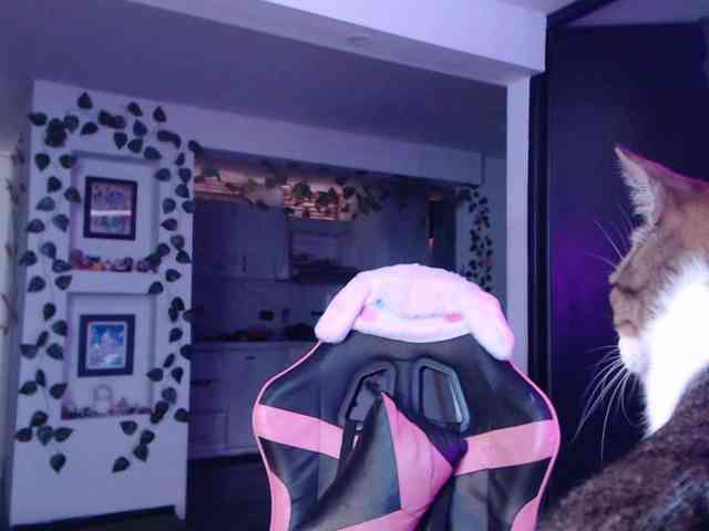 MaryJannes webcam