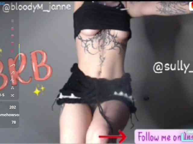 MaryJannes webcam