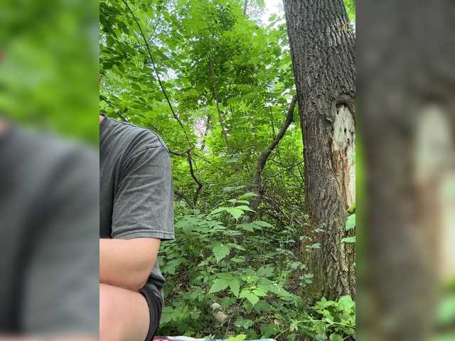 Art_cam