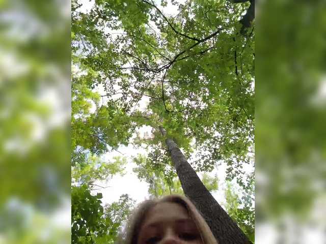 Art_cam