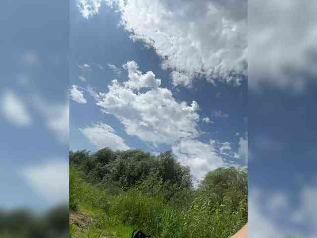 Модель: Art_cam