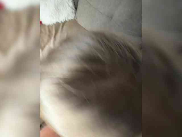 Art_cam webcam