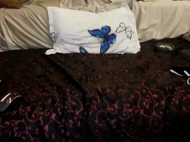 alissonone from BongaCams