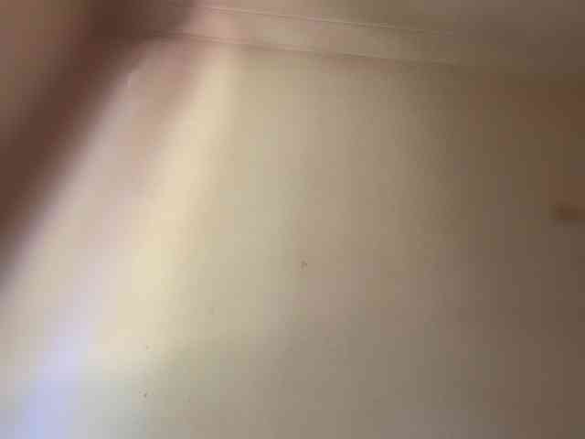 PIGLET58a Live Webcam on BongaCams