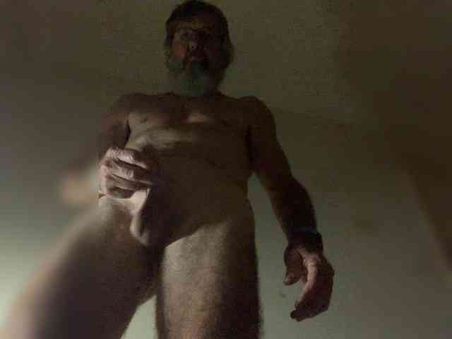 PIGLET58a Live Webcam on BongaCams