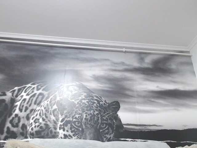 Profile and Statistics for sweetandreea on BongaCams