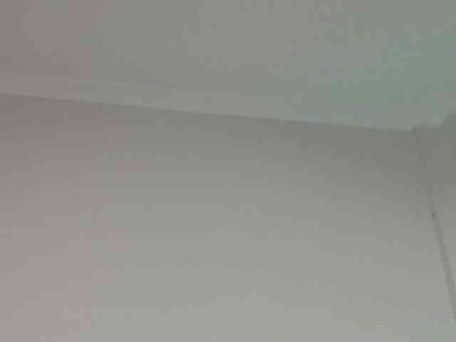 polysamanta webcam