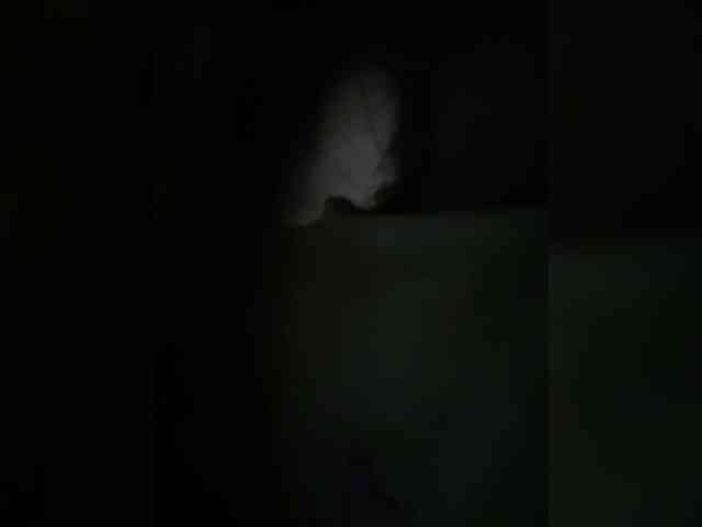 Cute-Lolly Cute-Lolly