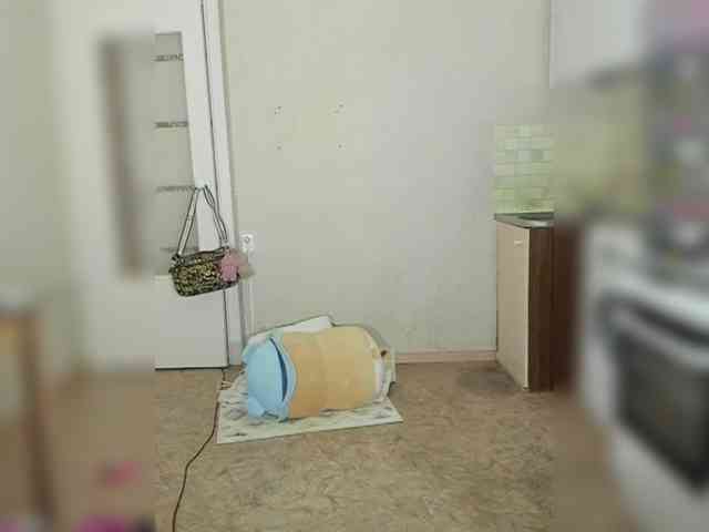 Cute-Lolly Cute-Lolly