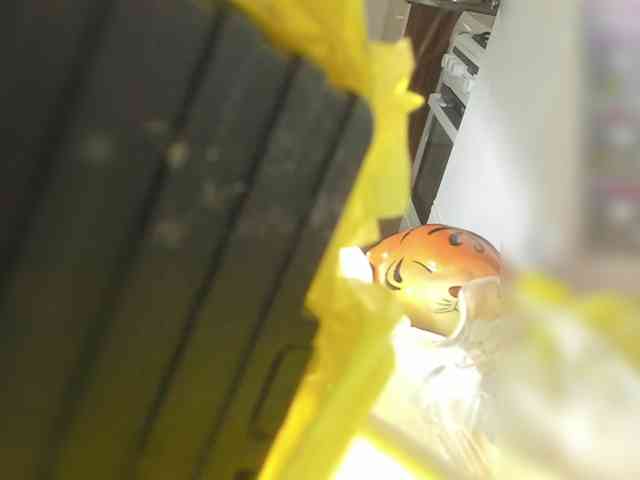 Cute-Lolly Cute-Lolly