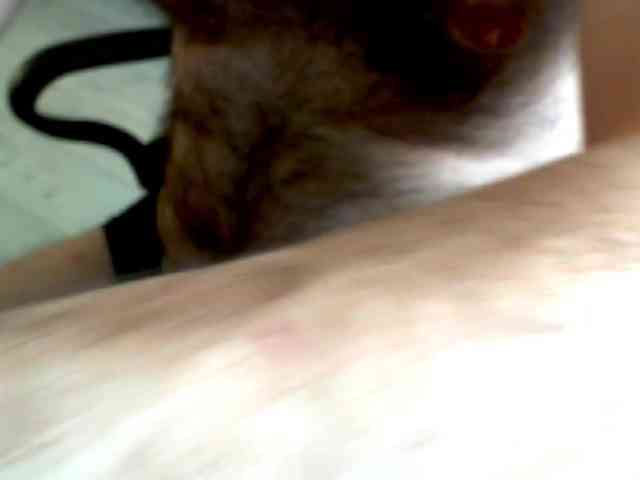 rebbit111a rebbit111a