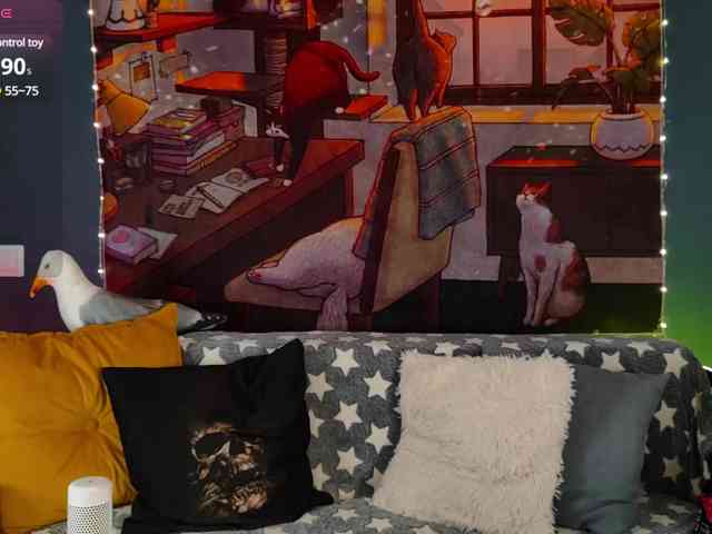 RockBelyash webcam