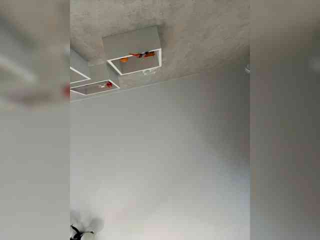 Mila-m webcam