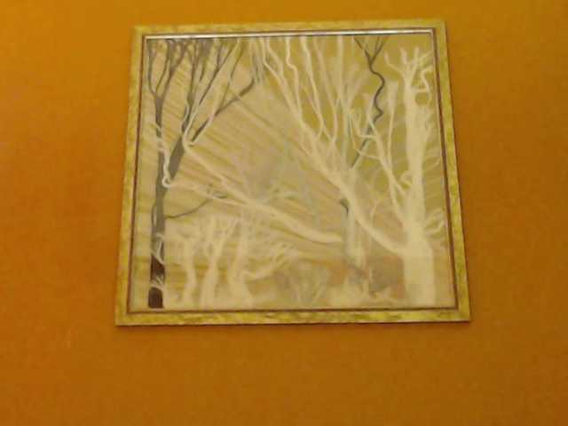 Lora8888's BongaCams show and profile