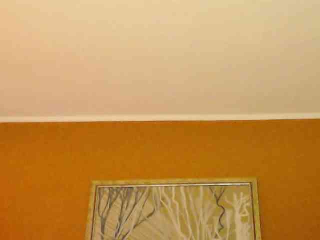 Lora8888 webcam