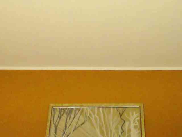 Lora8888 webcam