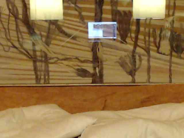 Lora8888 webcam