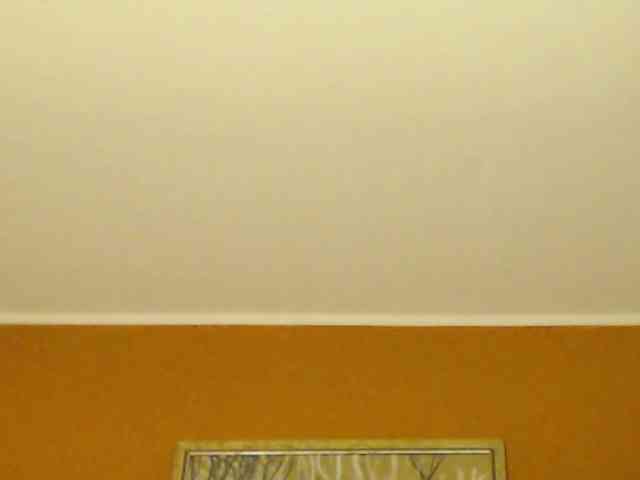 Lora8888 webcam
