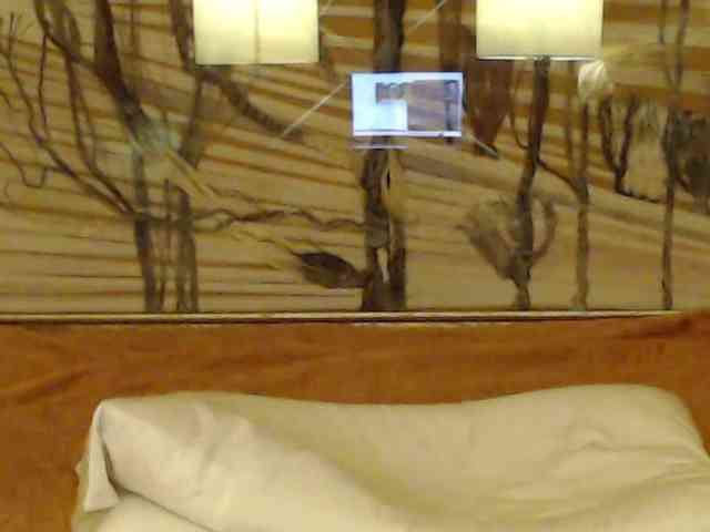 Lora8888 webcam
