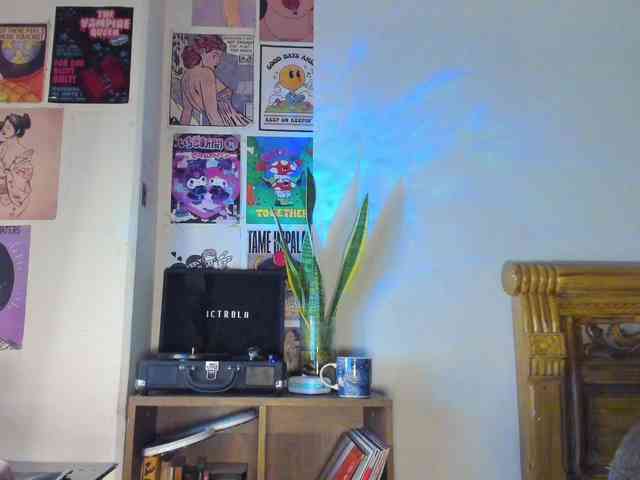 YourRosenrot webcam