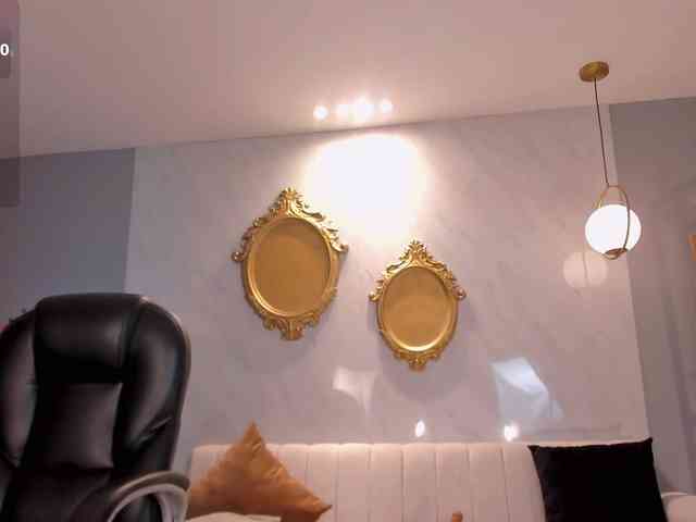 ToriCross webcam