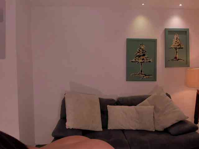 ToriCross webcam