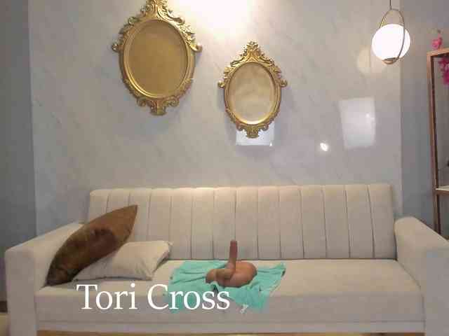 ToriCross webcam